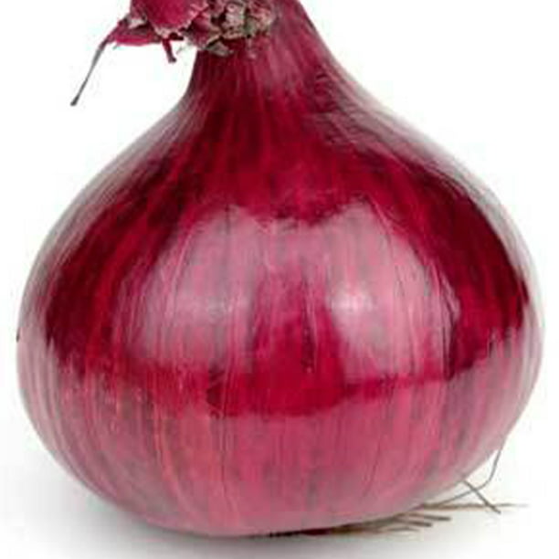 Red Onion Seeds High Germination Organic Sweet Red Onion Seeds for Planting